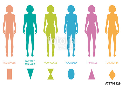 500x353 Female Body Types Anatomy,woman Front Figure Shape, Vector Stock