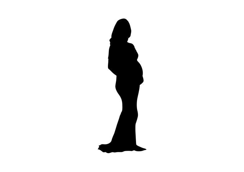 800x566 Woman In Wedding Dress Silhouette