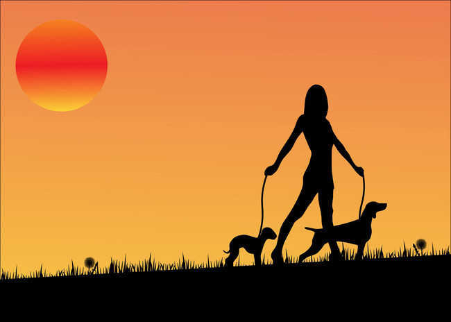 650x464 Sunset Woman Silhouette Poster Background Material, Woman, Sunset