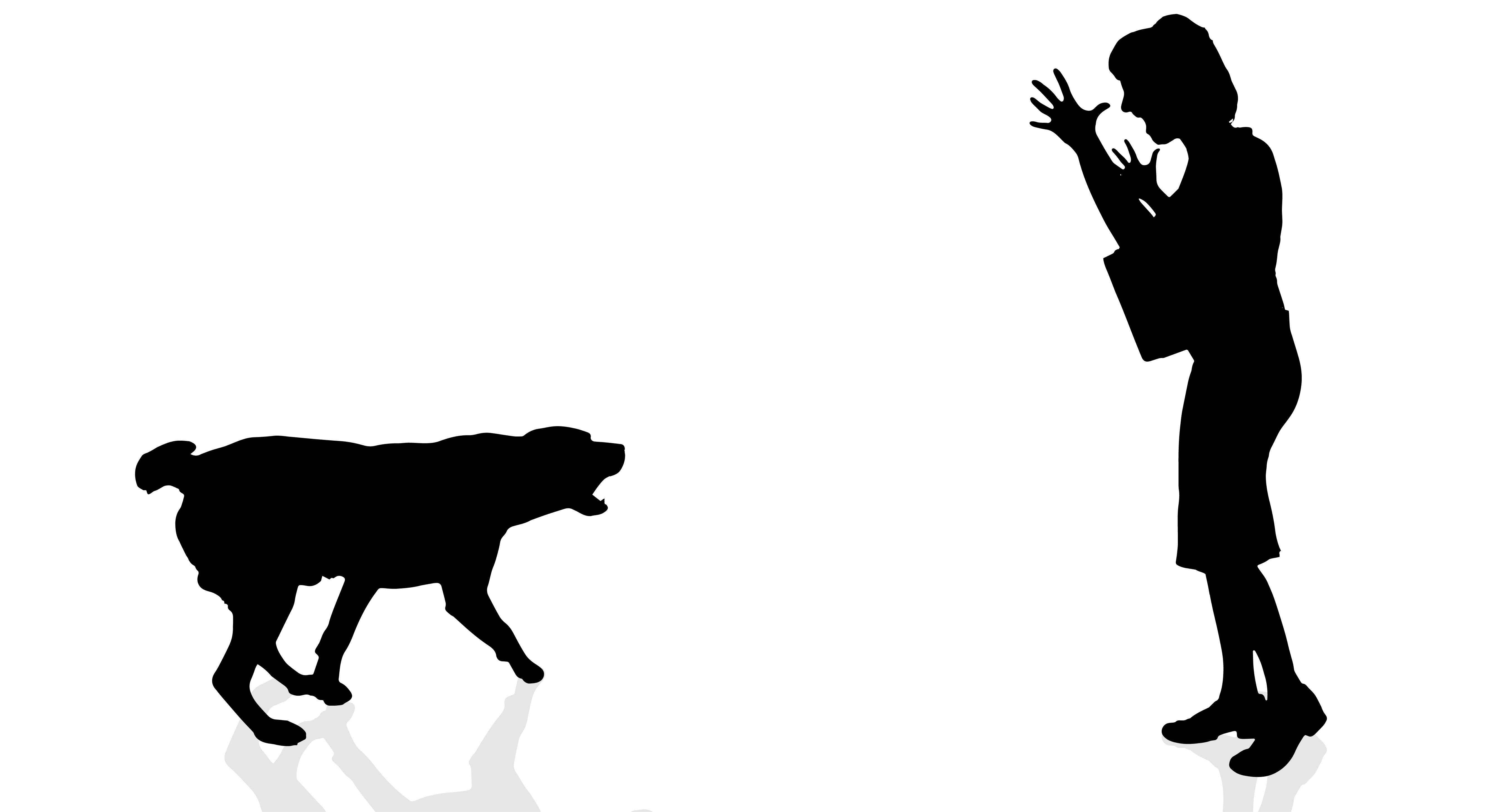 5417x2917 Vector Silhouette Of A Woman.