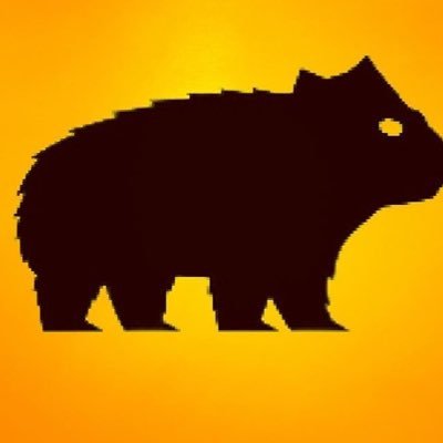 400x400 Wombat Nation (@wombatnation8) Twitter