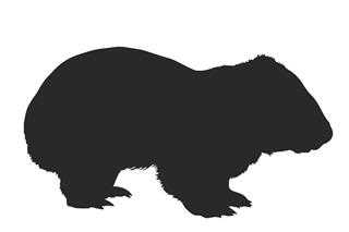 320x213 Wombat Silhouette Decal Sticker