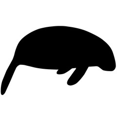 240x240 Wombat Silhouette Vector Graphics