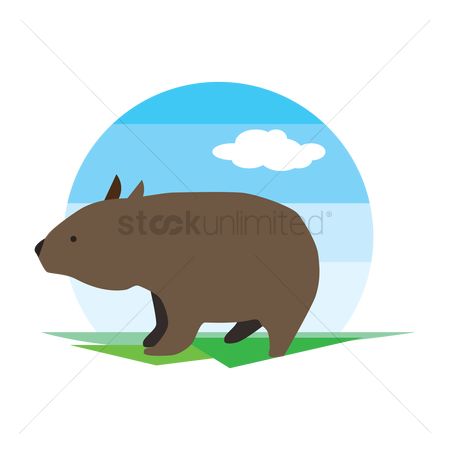 450x450 Free Wombat Stock Vectors Stockunlimited