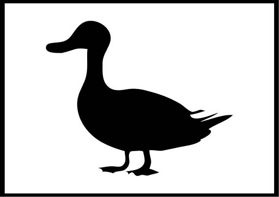 570x403 Duck Stencil, Art Crafts Birds Farmyard Animals Painting Wood