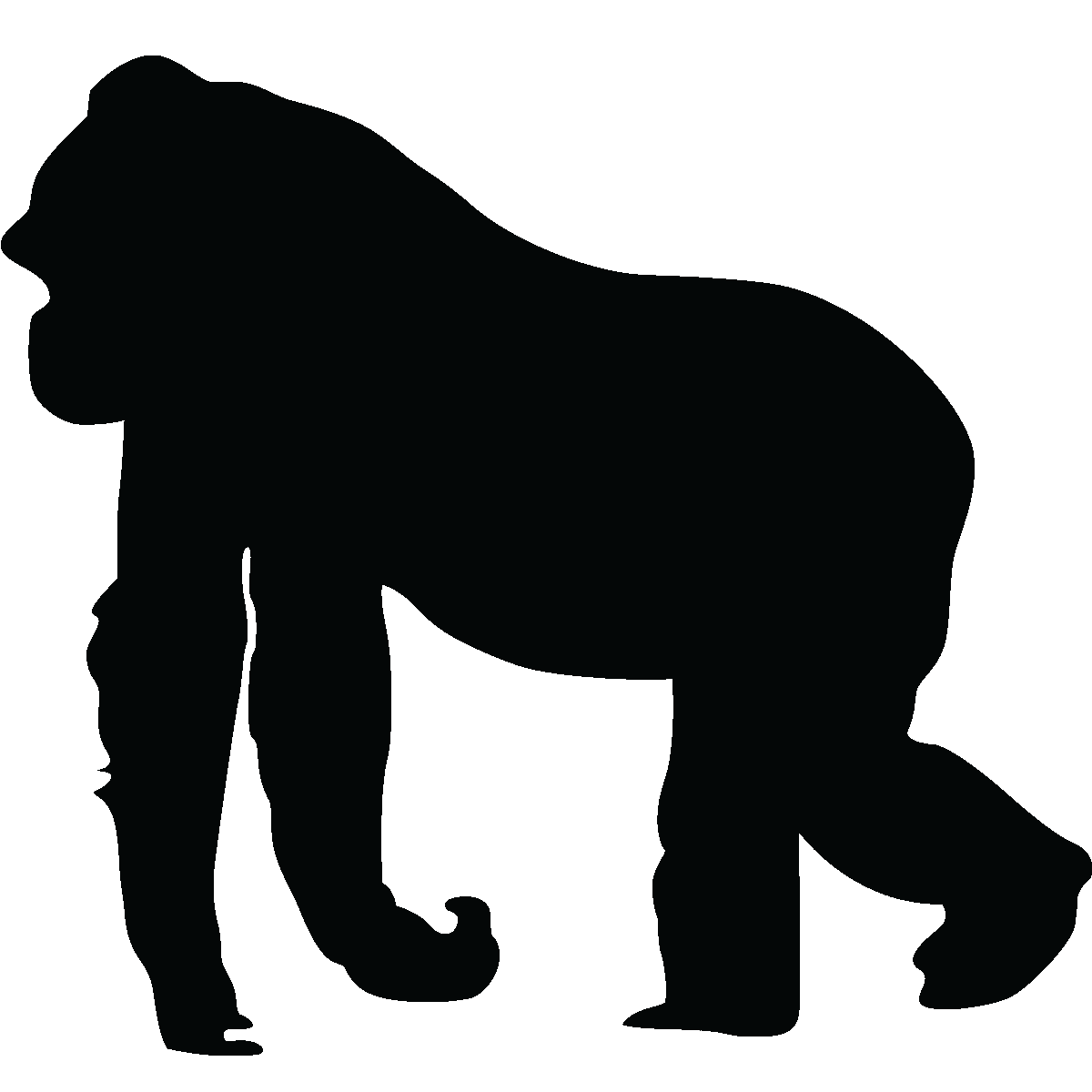 1200x1200 Gorilla Silhouette Silhouette Gorilla Wall