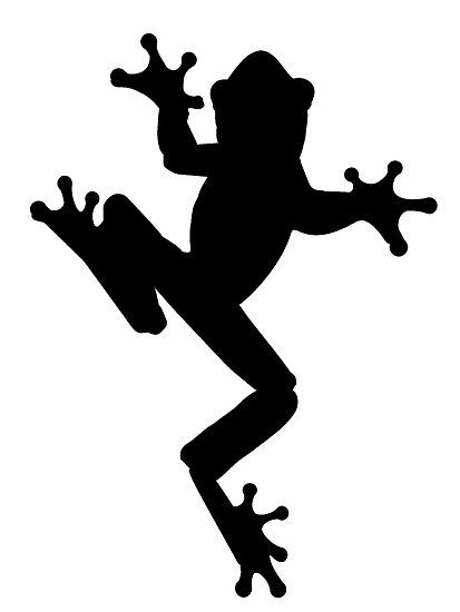 413x550 Frog Shilouette Frog Silhouette By Kwg2200 Biome Images