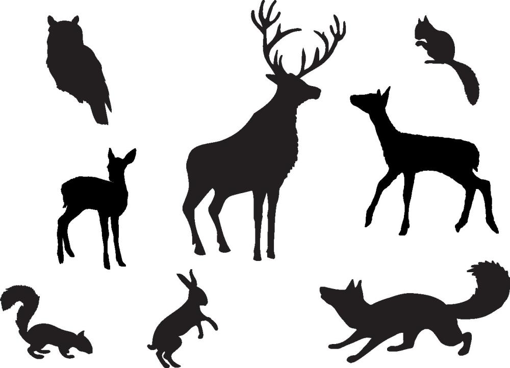 1000x722 Clarity Stamp Woodland Animals Clear Stamp Set