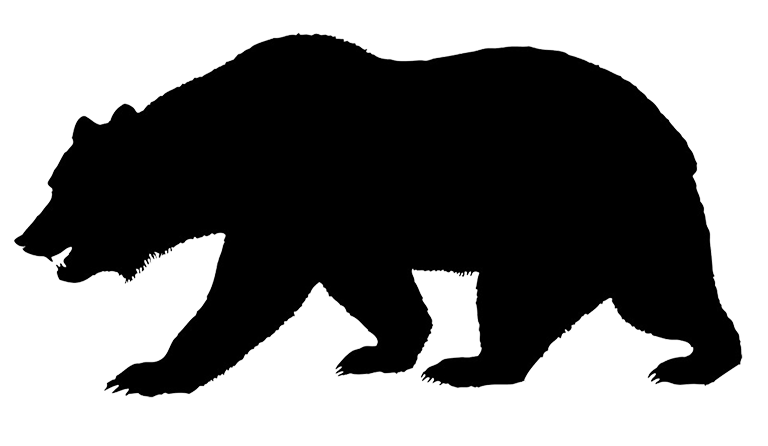 768x446 Silhouette Of Bear Jogging Through The Forest. A Forest Animal