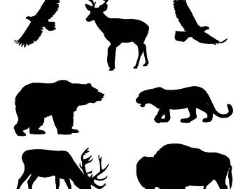 340x270 Woodland Bear Svg Etsy