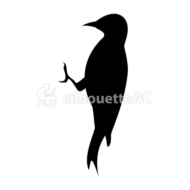 Woodpecker Silhouette at GetDrawings | Free download