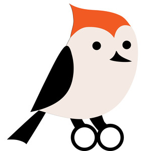 300x300 Silhouette Design Store