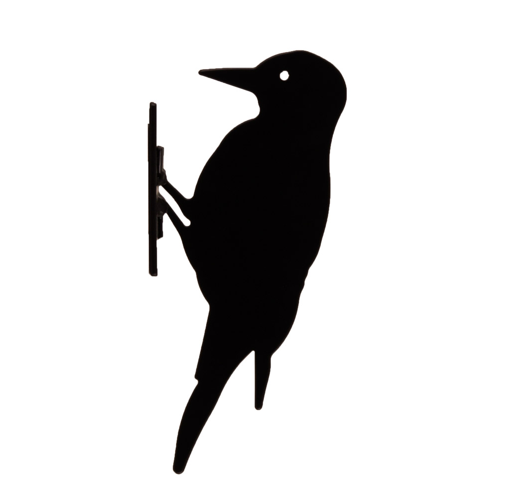 1050x980 Silhouette Great Woodpecker