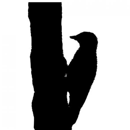 450x450 Woodpecker Clipart