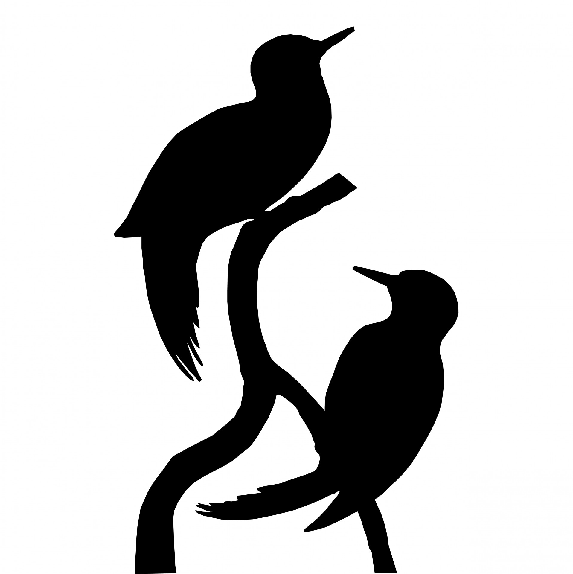 1916x1919 Bird Silhouette Free Stock Photo