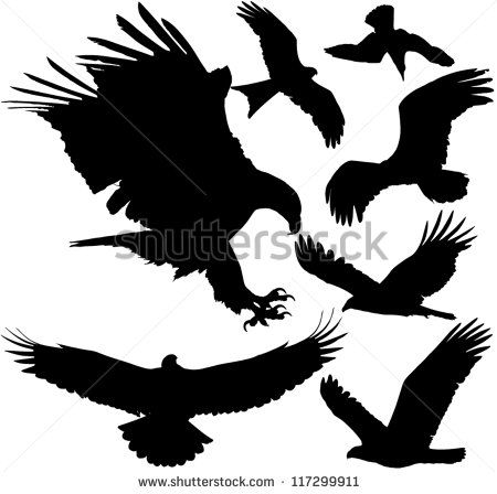 450x448 Birds Of Prey (Eagle, Hawk, Falcon, Griffon Vulture Etc.) Vector