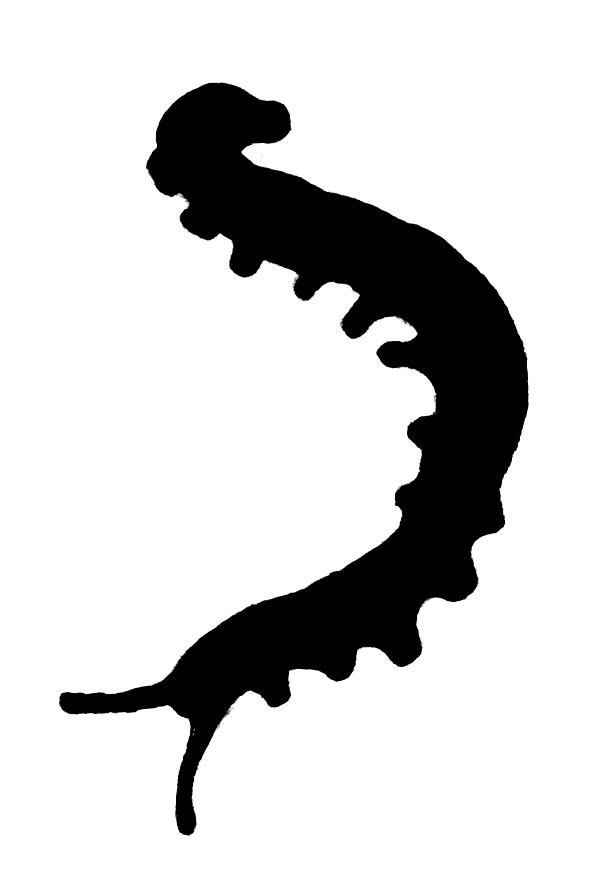 Worm Silhouette at GetDrawings | Free download