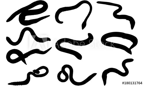 500x300 Worm Silhouette Vector Graphics