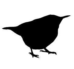 246x229 Birds Beautiful, Handmade Rubber Stamps With Free Worldwide Pampp