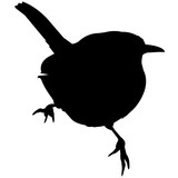 160x160 Wren Silhouette Vector Graphics Stock Image And Royalty Free