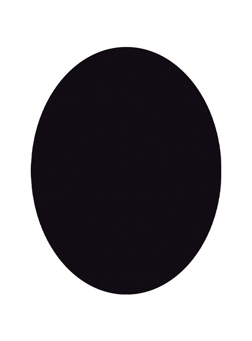 500x675 Silhouette Securit By Vermes