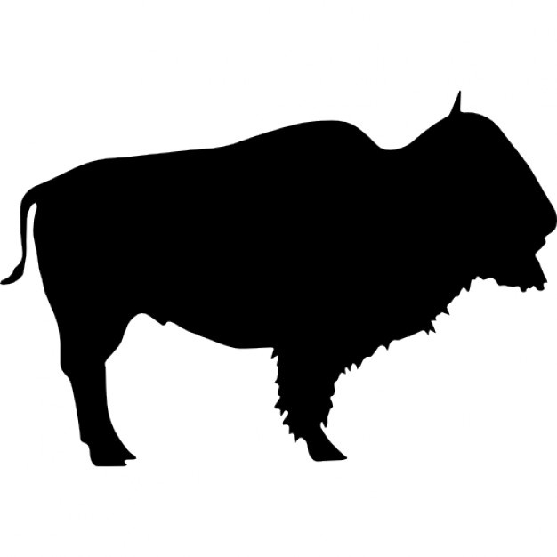 626x626 Buffalo Vectors, Photos And Psd Files Free Download