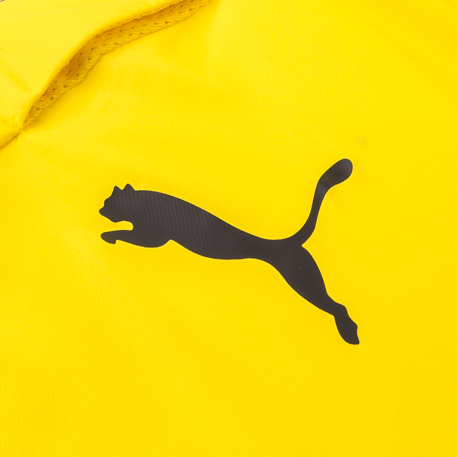 1600x1600 Dortmund Stadium Jacket