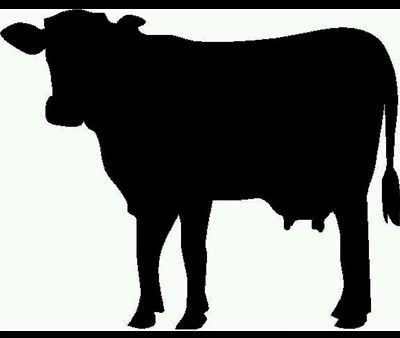 400x338 Pin By Creeksdecalsandgifts Vinyl Decal Sticker For Yeti Tumblers