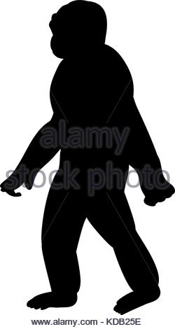 250x470 Ape Logo Vector Stock Vector Art Amp Illustration, Vector Image