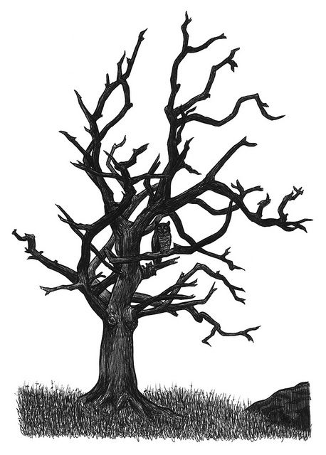 458x640 97 Best Dead Tree Art Images On Tree Art, Drawing