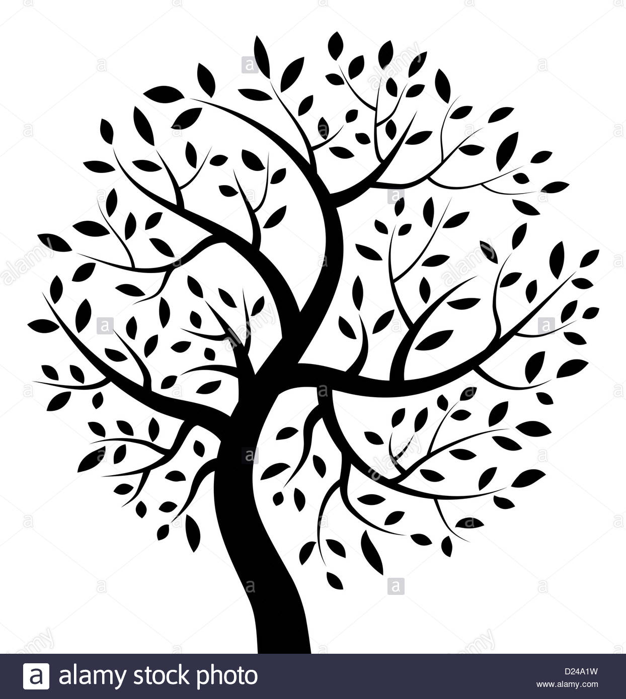 1244x1390 Family Tree Illustration Black And White Stock Photos Amp Images