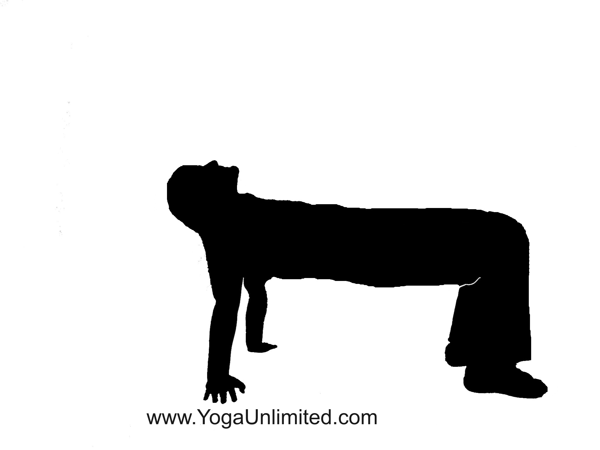 2048x1536 Table Blog Young Yoga Masters