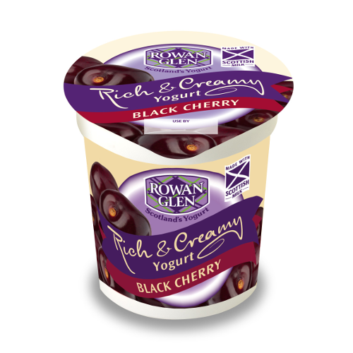 500x500 Rich And Creamy