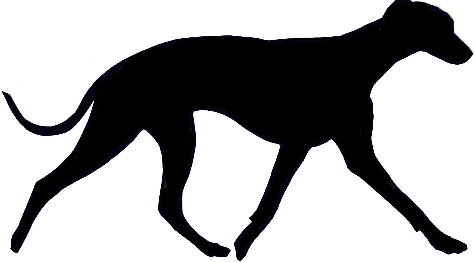 1511x835 Scottish Terrier