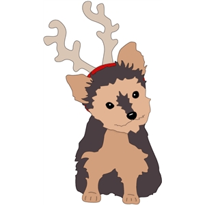 300x300 Silhouette Design Store