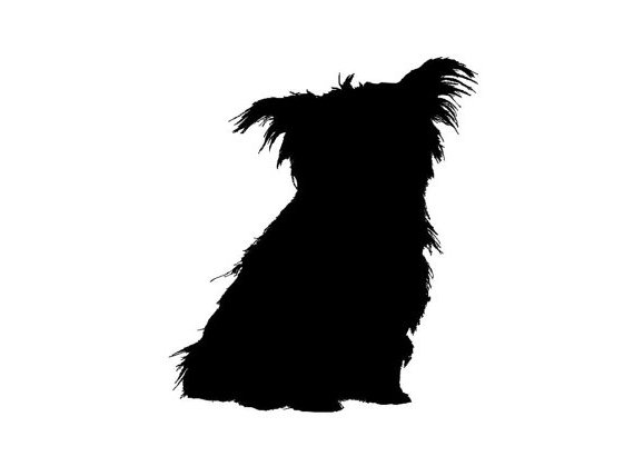 570x428 Yorkies Clipart Dog Silhouette 4074578