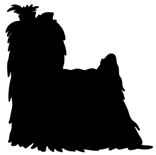 500x498 Yorkshire Terrier