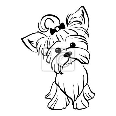 400x400 Yorkshire Naklejki Na Wymiar Odizolowany, Pies