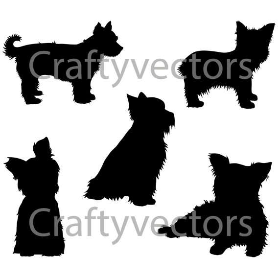 570x570 Yorkshire Terrier Dog Svg Silhouettes
