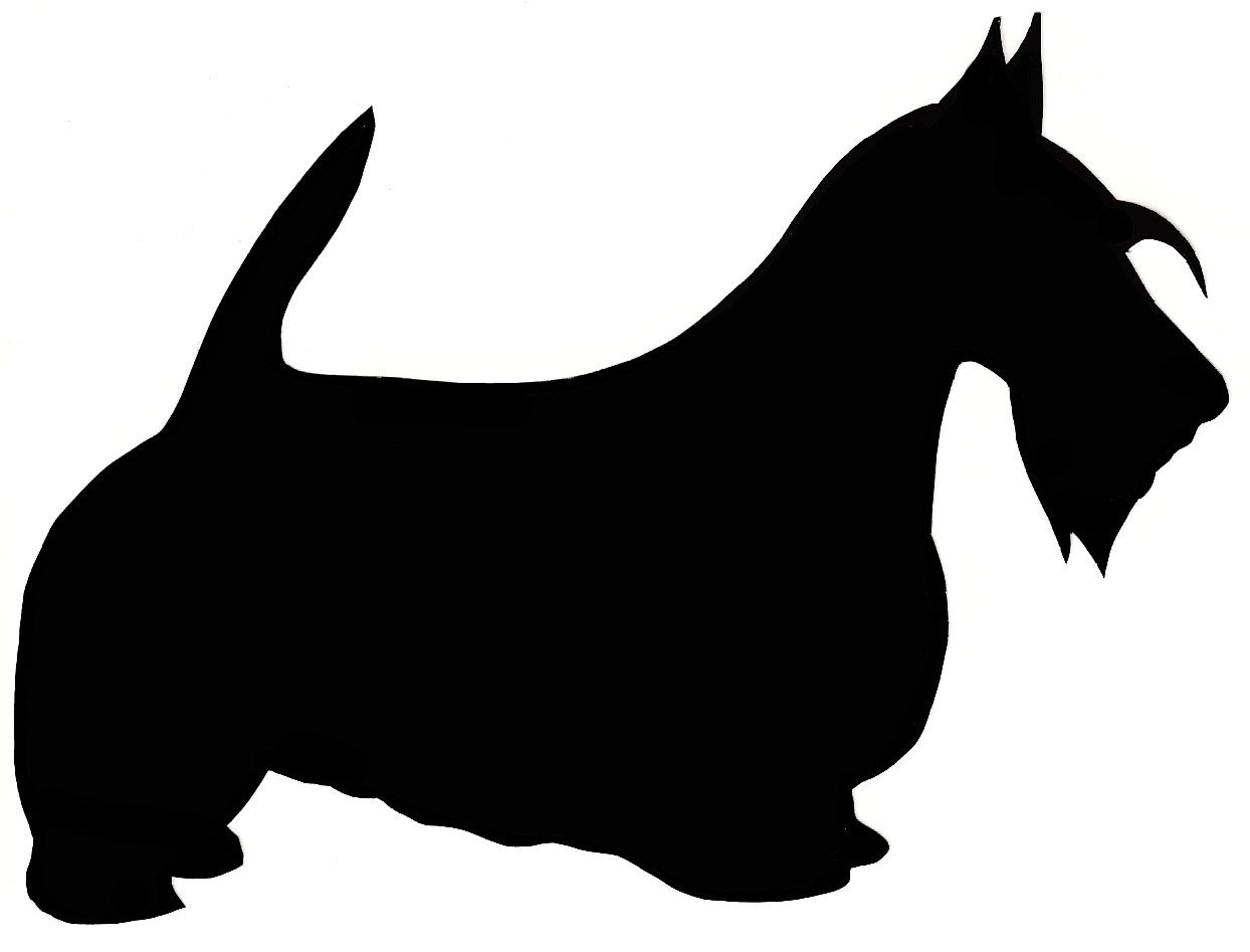 1244x947 Scottish Terrier