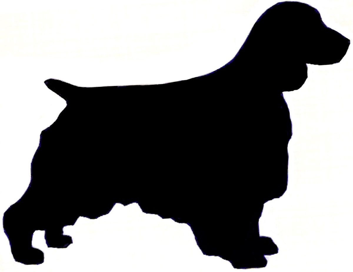 1200x923 Scottish Terrier