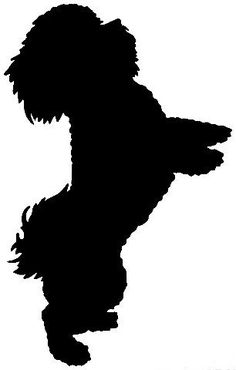 236x370 Silhouette Yorkshire Terrier