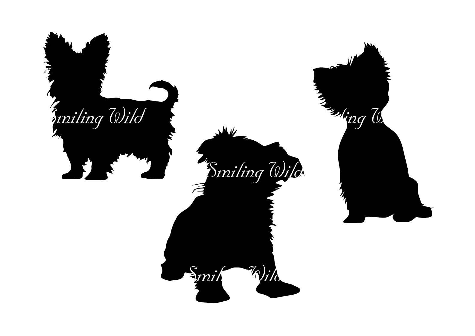 1588x1123 Yorkshire Terrier Svg Yorkie Silhouette Cut File Yorkshire Terrier