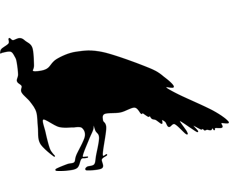 739x550 The Two Obligatory Thanksgiving Youtube Videos