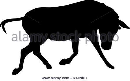 450x280 View On The Silhouette Of A Moving Zebra Stock Vector Art