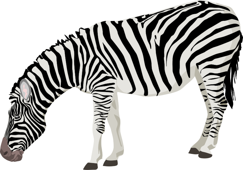 800x561 Zebra Silhouette Clipart