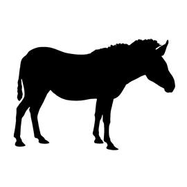 270x270 Zebra Silhouette Stencil Free Stencil Gallery