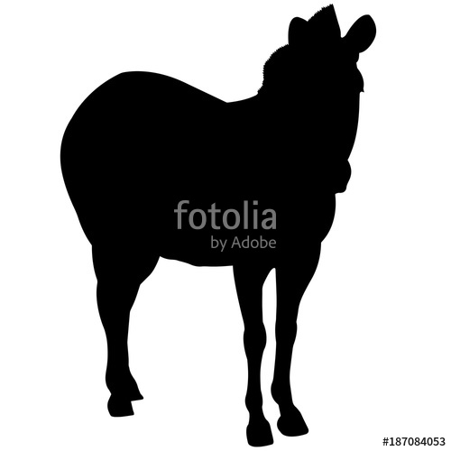 500x500 Zebra Silhouette Vector Graphics Stock Image And Royalty Free