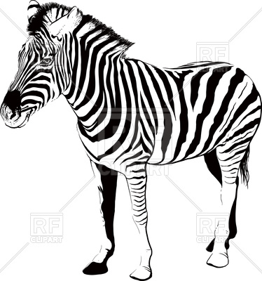 374x400 Zebra Silhouette Royalty Free Vector Clip Art Image