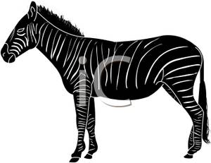 300x231 Profile Silhouette